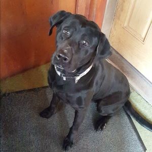 Meet your Posher, Mallory